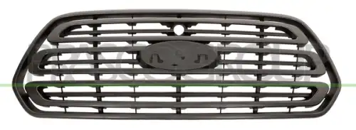 Решетка радиатора PRASCO FD9132001