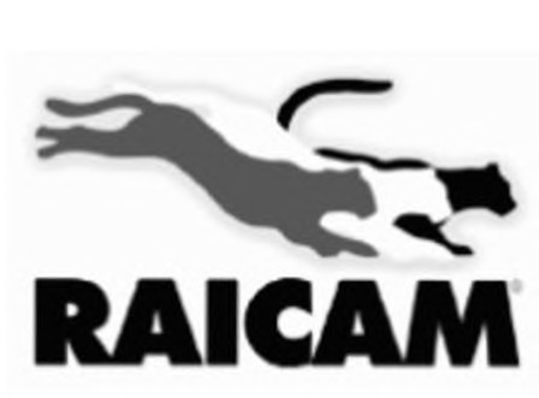 Комплект сцепления RAICAM RC90375